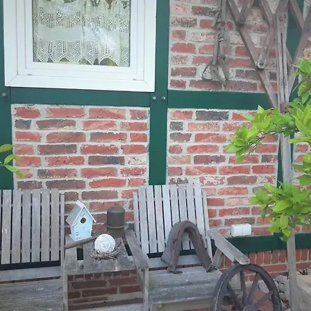 Auf Dem Hollo *
