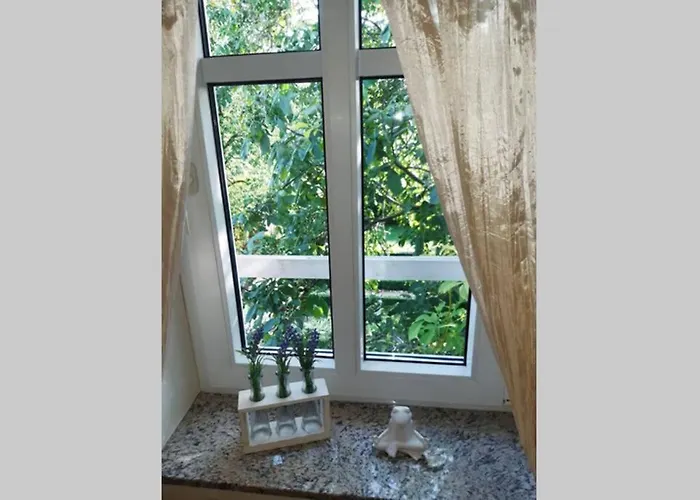 Apartament Auf Dem Hollo *